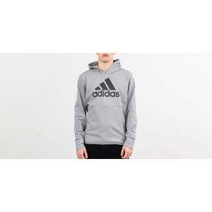 adidas x Undefeated Tech Hoodie Shift Grey