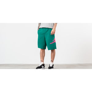 Jordan Jumpman Logo Shorts Green/ Pink