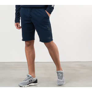 Under Armour Project Rock Terry Shorts Blue